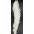 Flyco Calf tail white