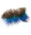 Peacock blue neck