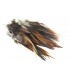 Strung rooster saddles long