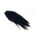 Rooster saddle feather