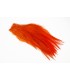 Rooster saddle feather