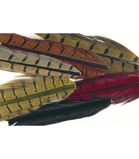 Cock pheasant center tails mix 6 colours