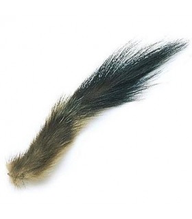 Stoat tail