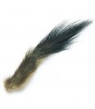 Stoat tail