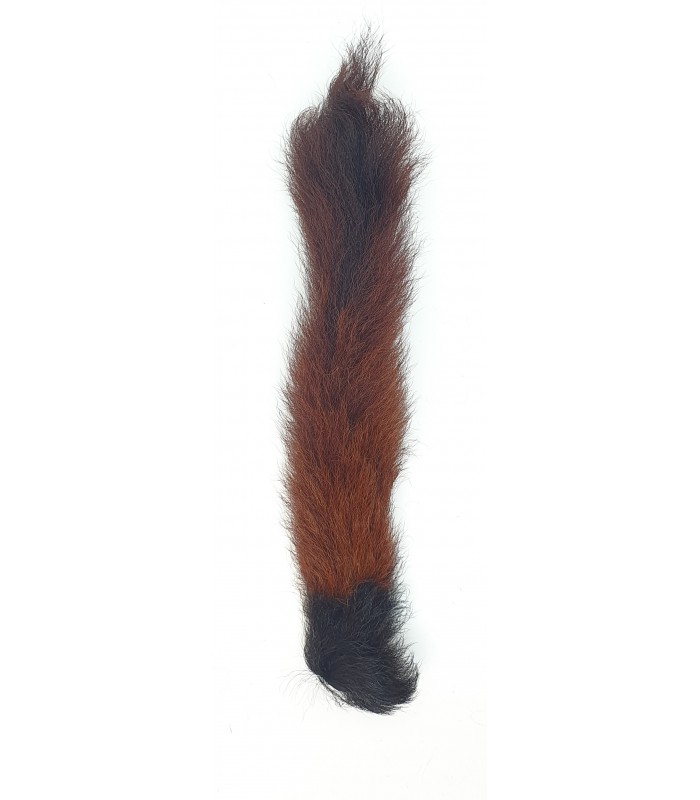 Veniard Calf tail