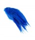 Rooster saddle feather