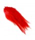 Rooster saddle feather