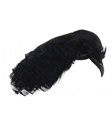 Golden pheasant complete head dyed black