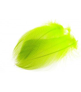 Mallard barred flank large select