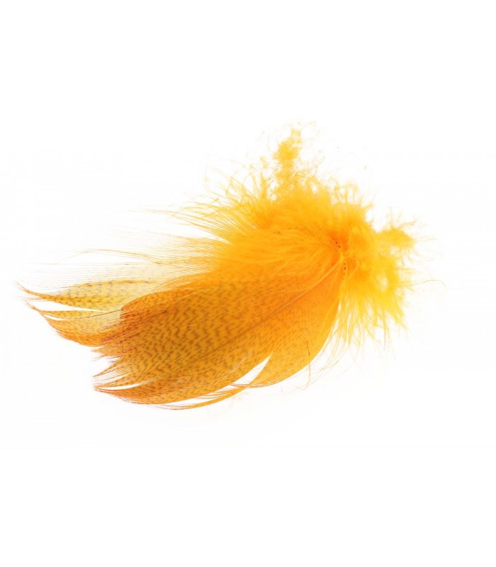 Mallard barred flank feathers
