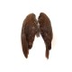 Grouse whole wings - Veniard