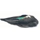 Teal duck whole wing pair - Veniard