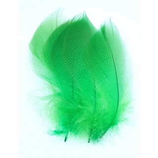 Mallard duck gray flank small selected