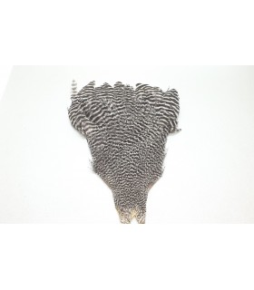 Veniard genetic hen cape