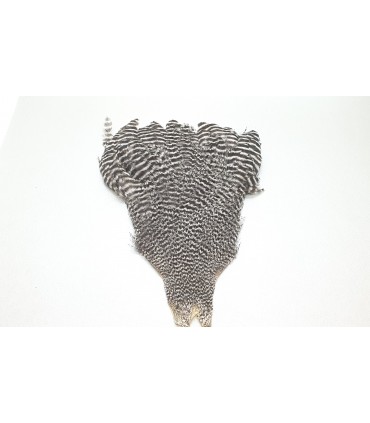 Veniard genetic hen cape