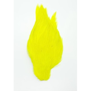 Chinese cock cape