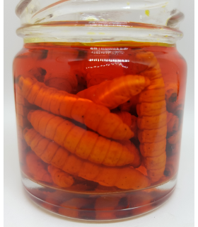 Monstermaggot oransje