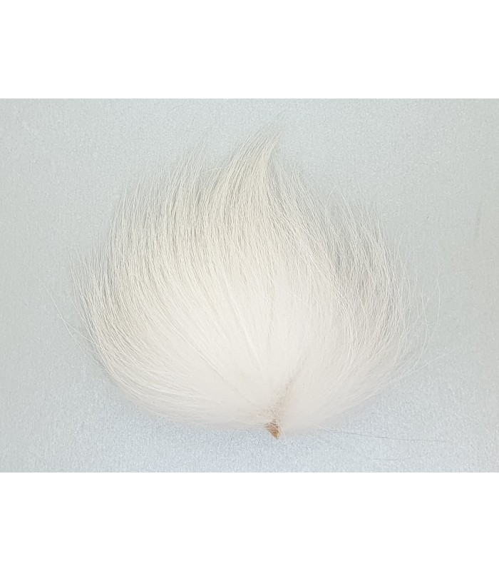 Raccoon tail patch