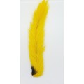 Veniard Calf tail
