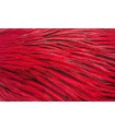 Signature rooster cape hot red badger