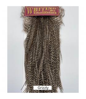 Whiting euro hackle saddle grizzly natural