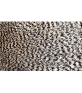 Signature rooster cape grizzly natural