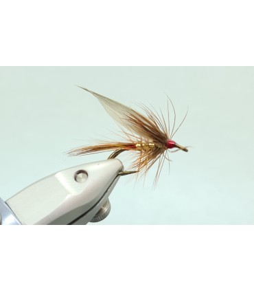 Wickham's fancy red