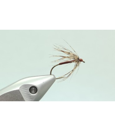 Partridge and brown