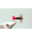 Red tag dry fly