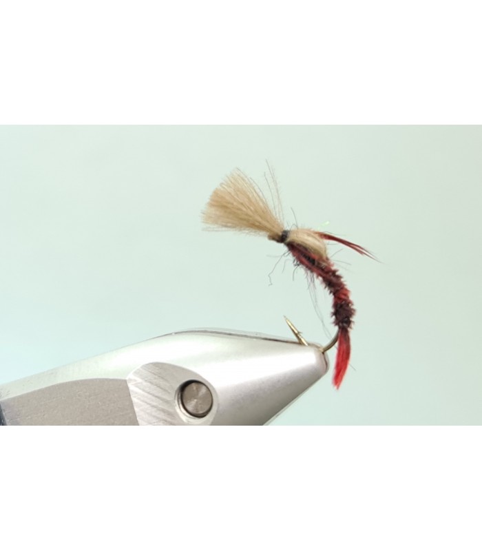 Shuttlecock emerger lepto