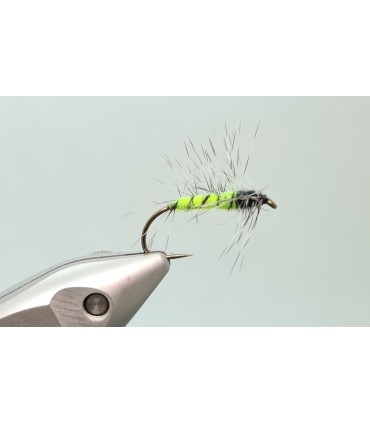 Superpuppa chartreuse/black