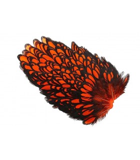 Whiting american hen saddle black laced orange