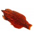 Whiting american hen cape black laced orange