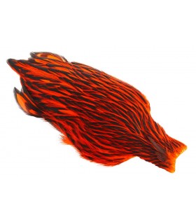 Whiting american hen cape black laced orange