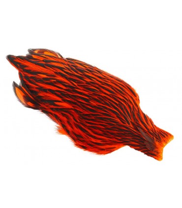 Whiting american hen cape black laced orange