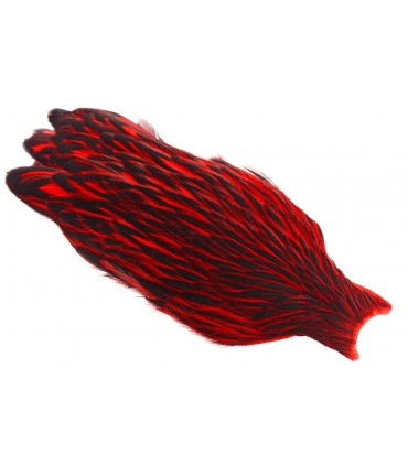 Whiting american hen cape black laced red