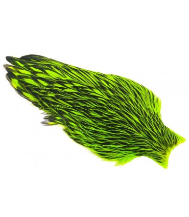 Whiting american hen cape black laced fl.chartreuse