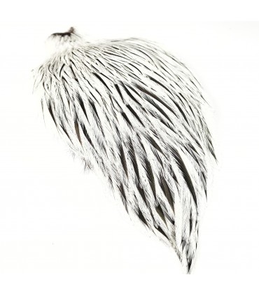 Signature rooster cape silver badger