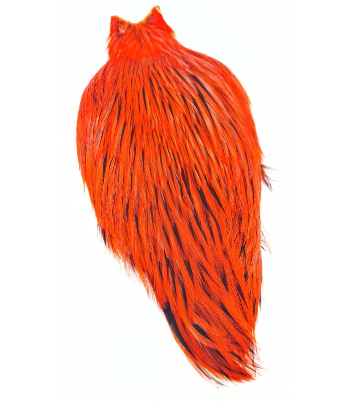 Signature rooster cape badger orange