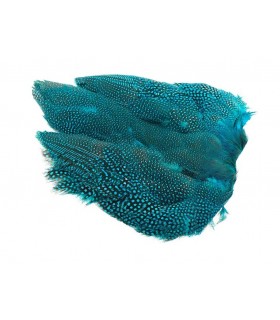 Guinea fowl full skin