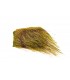 Flyco Wild boar