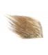 Flyco Wild boar