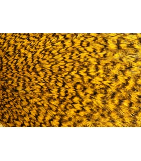 Signature rooster cape grizzly orange