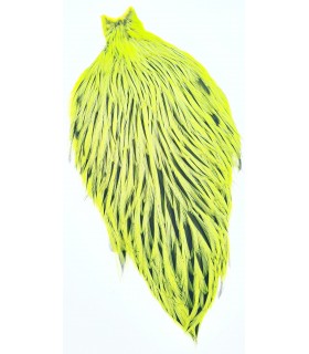 Signature rooster cape badger fl.chartreuse yellow
