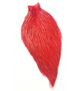 Signature rooster cape red