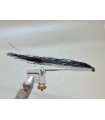 Sunray flashwing variant