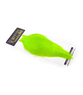 Whiting american rooster cape