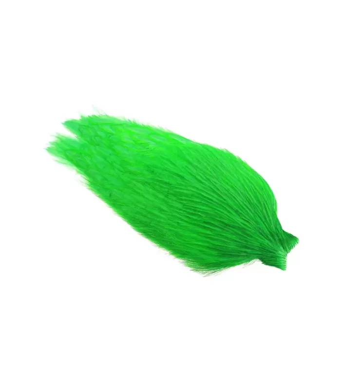 Whiting american rooster cape