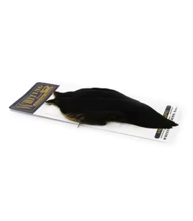 Whiting American hen cape