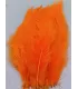 Silverfishing schlappen